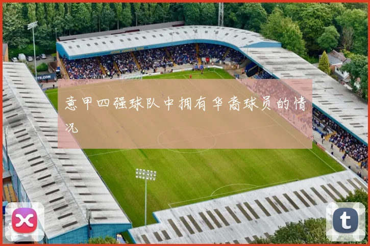 意甲四强球队中拥有华裔球员的情况