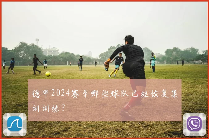 德甲2024赛季哪些球队已经恢复集训训练？