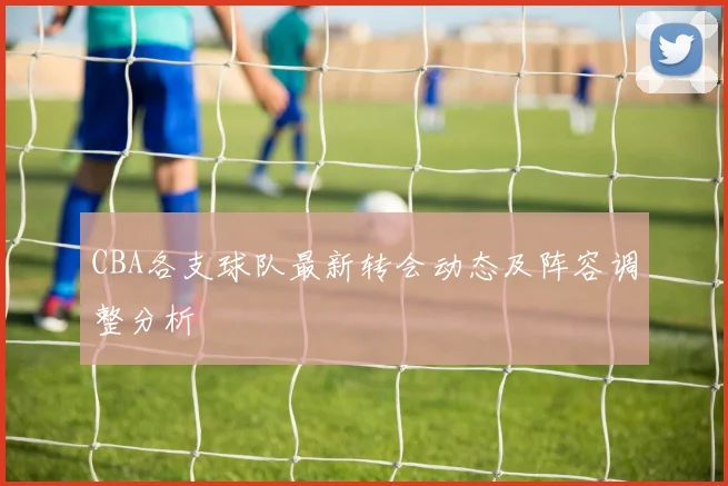 CBA各支球队最新转会动态及阵容调整分析
