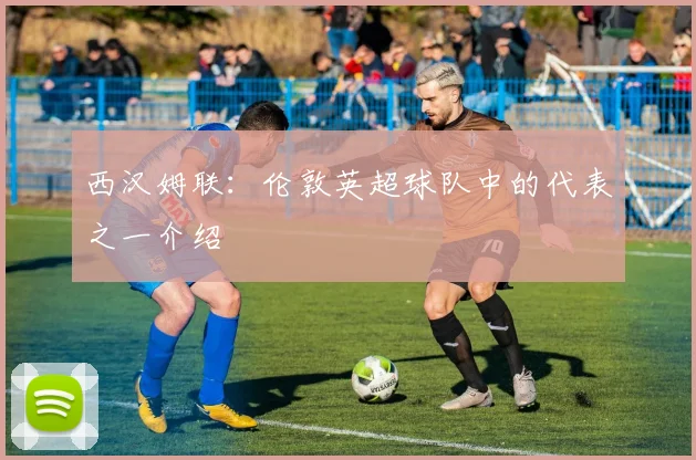 西汉姆联:伦敦英超球队中的代表之一介绍