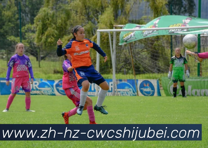 多媒体互动体验