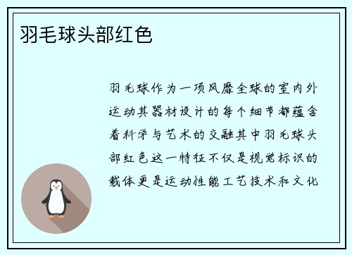 羽毛球头部红色